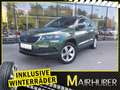 Skoda Karoq 1,0 TSI Ambition ,8 fach Grün - thumbnail 1