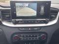 Kia Ceed SW / cee'd SW 1.5T DCT GT-Line+Pano+Leder+Techne+Performance Grün - thumbnail 14