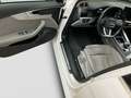 Audi A4 40 TDI advanced Pano Navi ACC Sitzh LED Blanc - thumbnail 14
