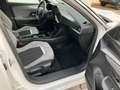 Opel Mokka-E 100 kW Elegance Kamera PP SHZ 11KW Weiß - thumbnail 13