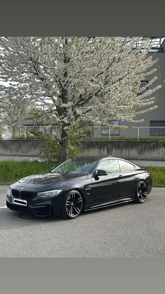 BMW 430