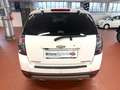 Chevrolet Captiva 2.2 VCDi 184CV Auto. 4WD LTZ Bílá - thumbnail 6