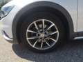 Volkswagen Passat Alltrack BMT 2,0 TDI SCR 4Motion DSG Bianco - thumbnail 11