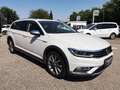 Volkswagen Passat Alltrack BMT 2,0 TDI SCR 4Motion DSG Bianco - thumbnail 3