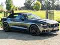 Ford Mustang Mustang Convertible V8 5.0 421 GT A - thumbnail 1