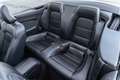 Ford Mustang Mustang Convertible V8 5.0 421 GT A - thumbnail 32