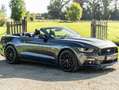 Ford Mustang Mustang Convertible V8 5.0 421 GT A - thumbnail 2