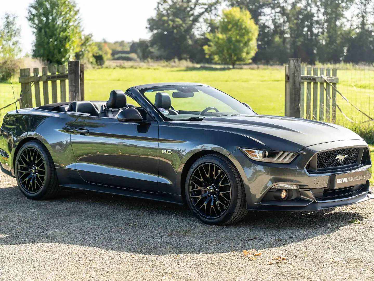 Ford Mustang Mustang Convertible V8 5.0 421 GT A - 2