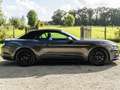 Ford Mustang Mustang Convertible V8 5.0 421 GT A - thumbnail 7
