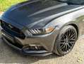 Ford Mustang Mustang Convertible V8 5.0 421 GT A - thumbnail 11