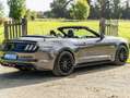 Ford Mustang Mustang Convertible V8 5.0 421 GT A - thumbnail 5