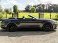 Ford Mustang Mustang Convertible V8 5.0 421 GT A - thumbnail 8