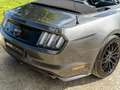 Ford Mustang Mustang Convertible V8 5.0 421 GT A - thumbnail 15