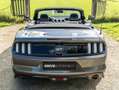 Ford Mustang Mustang Convertible V8 5.0 421 GT A - thumbnail 14