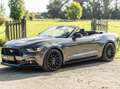 Ford Mustang Mustang Convertible V8 5.0 421 GT A - thumbnail 3