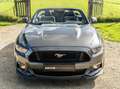 Ford Mustang Mustang Convertible V8 5.0 421 GT A - thumbnail 10