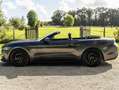 Ford Mustang Mustang Convertible V8 5.0 421 GT A - thumbnail 9