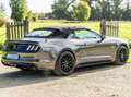 Ford Mustang Mustang Convertible V8 5.0 421 GT A - thumbnail 6