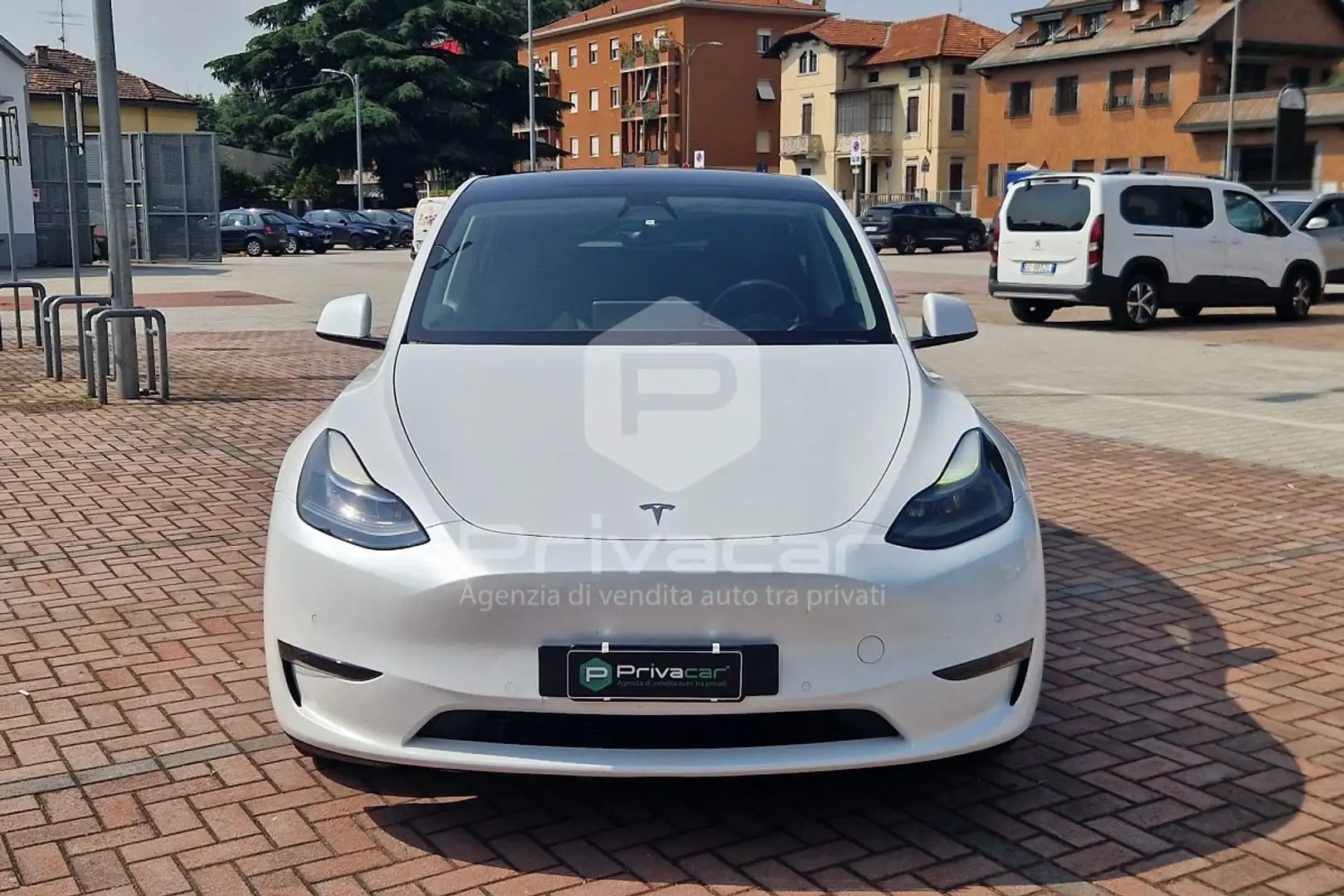 Tesla Model Y Model Y Long Range AWD Bianco - 2