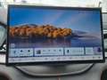 BYD Seal U DM-i Design AWD Weiß - thumbnail 9