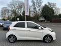 Kia Picanto 1.0 CVVT ComfortPlusLine Navigator Allseason|Navi| Weiß - thumbnail 5