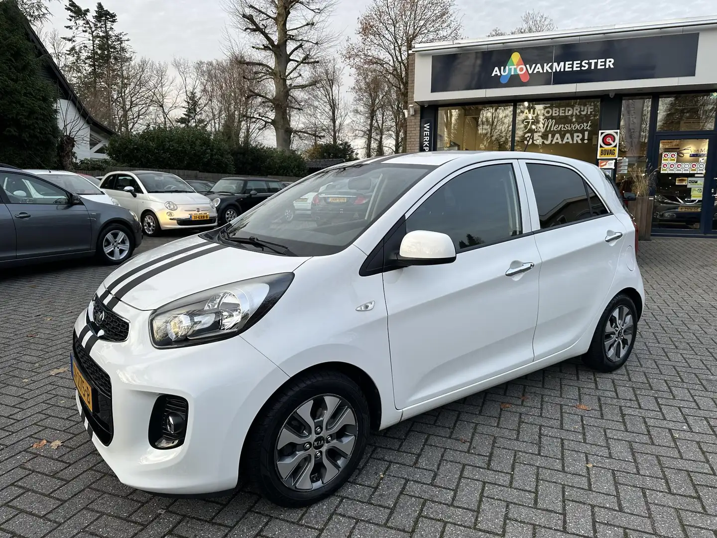 Kia Picanto 1.0 CVVT ComfortPlusLine Navigator Allseason|Navi| Weiß - 2