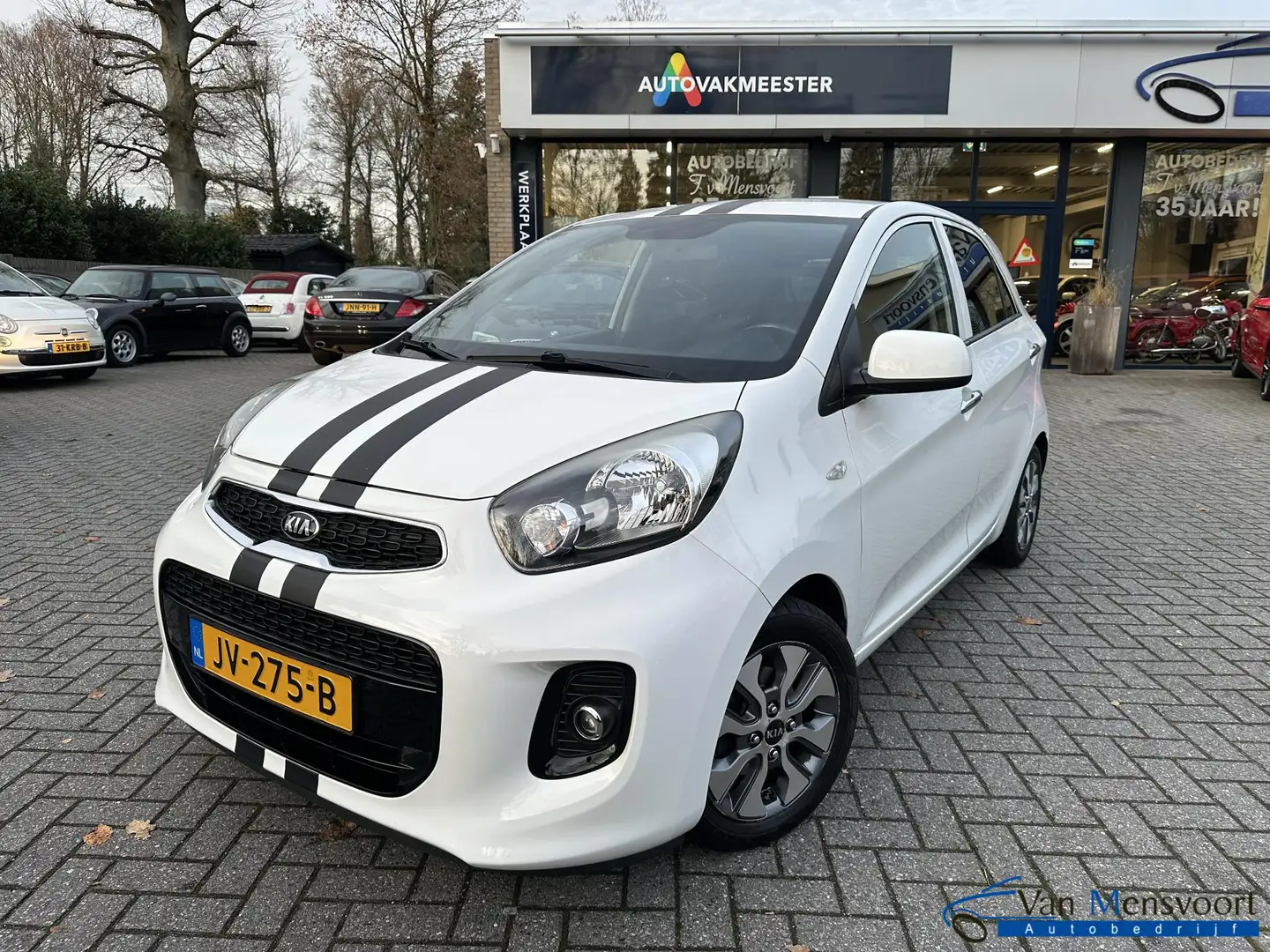 Kia Picanto 1.0 CVVT ComfortPlusLine Navigator Allseason|Navi| Weiß - 1