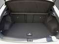 Volkswagen T-Roc 2.0 TSI 4Mot. R-Line 19"|Pano|IQ-Drive|ACC|RFK Gris - thumbnail 6