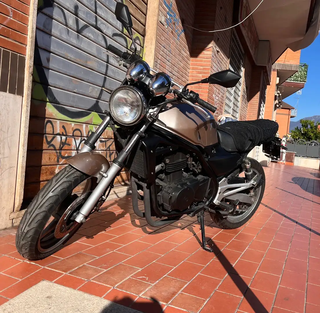 Kawasaki ER - 5 Oro - 1