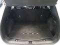 Ford Kuga 2.0 EcoBlue MEHV ST-Line X FWD 150 Blanco - thumbnail 23