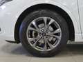 Ford Kuga 2.0 EcoBlue MEHV ST-Line X FWD 150 Blanco - thumbnail 6