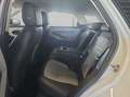 Land Rover Range Rover Evoque P250 R-Dynamic S Blanco - thumbnail 13