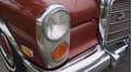 Mercedes-Benz 600 W100 4 deurs Limousine automatic Rojo - thumbnail 15