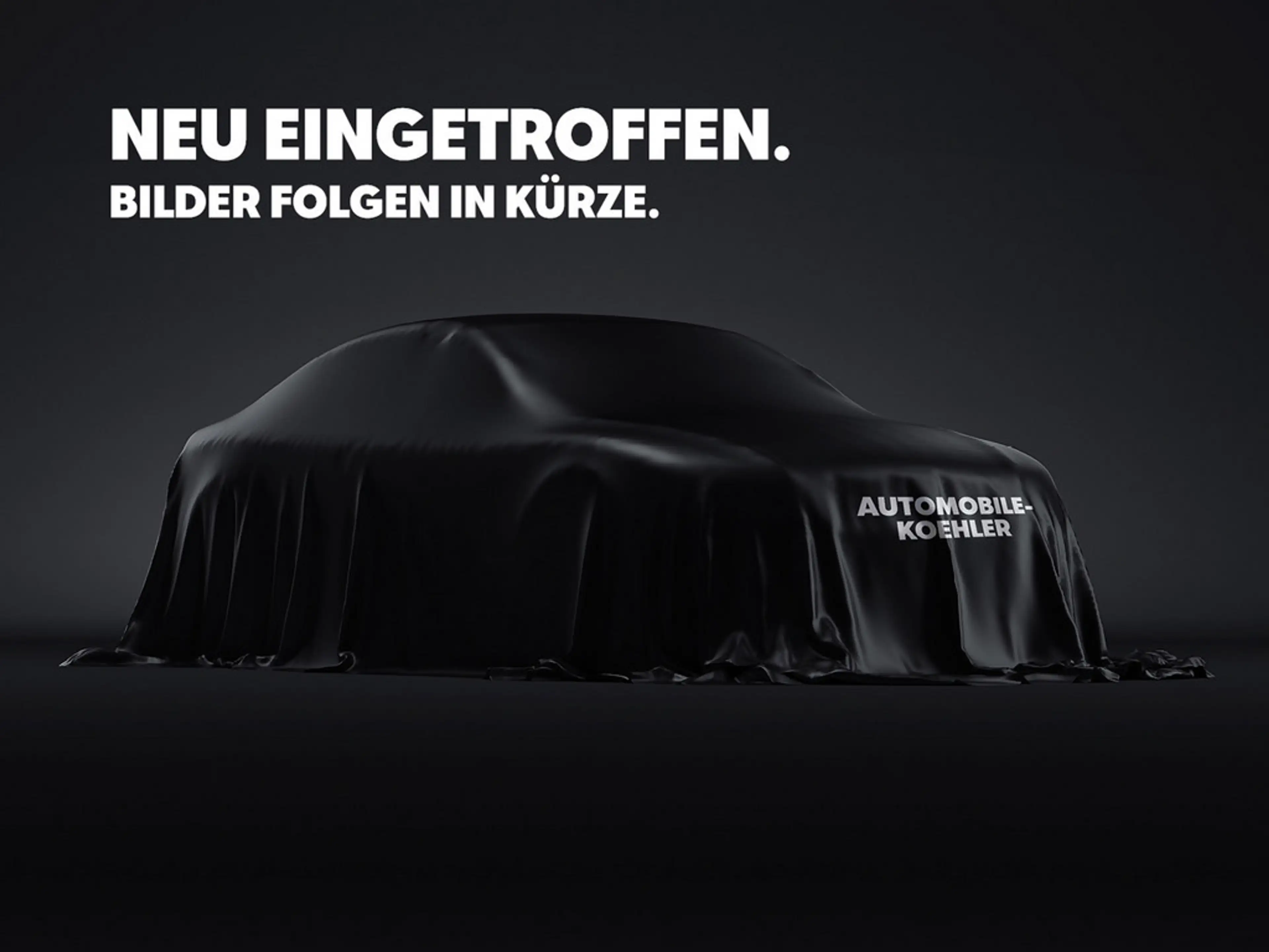 Hyundai i30 N Performance El. Panodach Navi LED Apple CarPlay