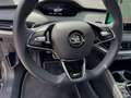 Skoda Enyaq Coupe iV RS 4x4 NAVI CANTON DCC Grau - thumbnail 9