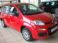 Fiat Panda Easy 1,2 Fire Rot - thumbnail 2