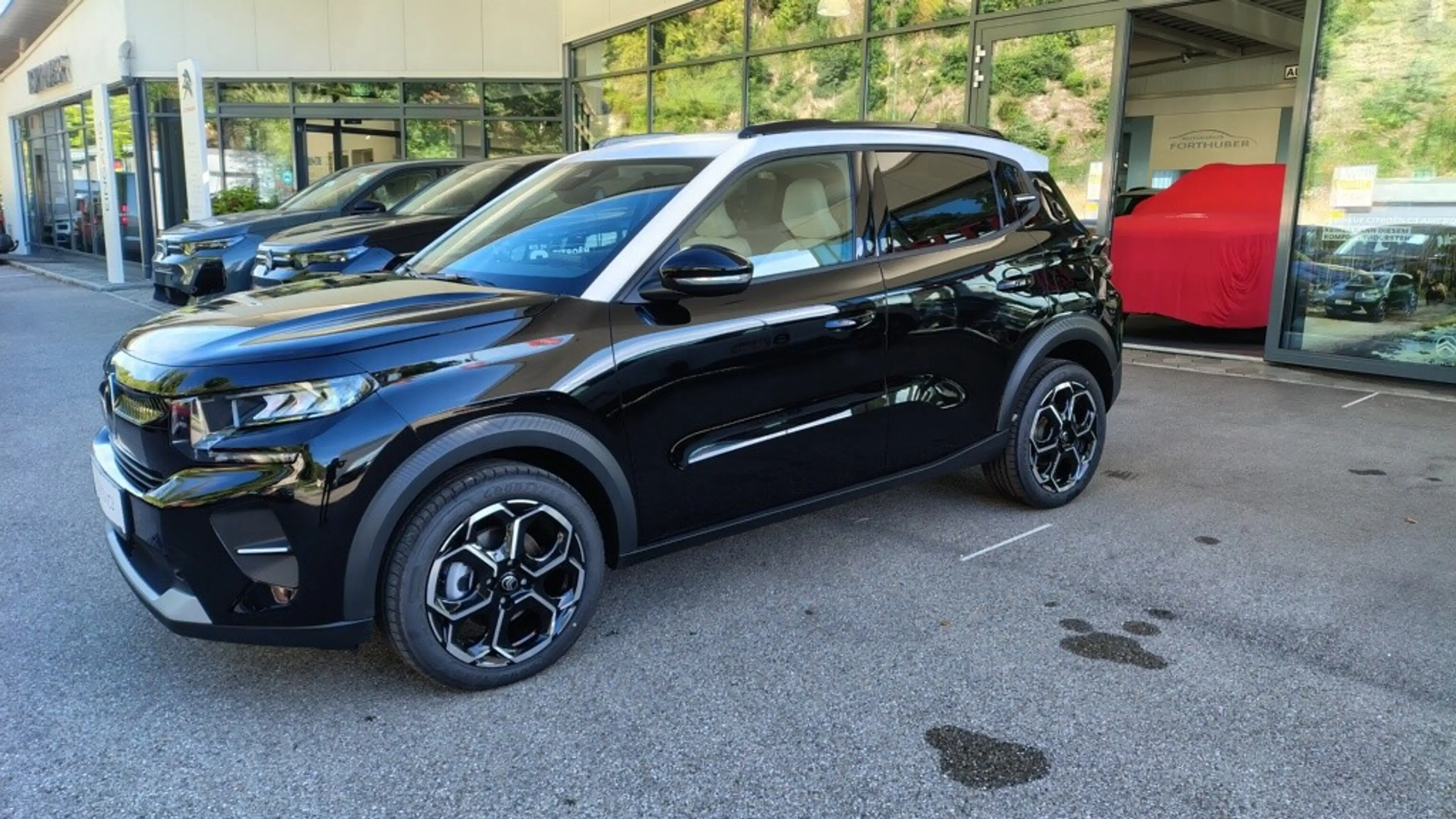 Citroen C3 e-C3 113 Standard Range 44kWh Max