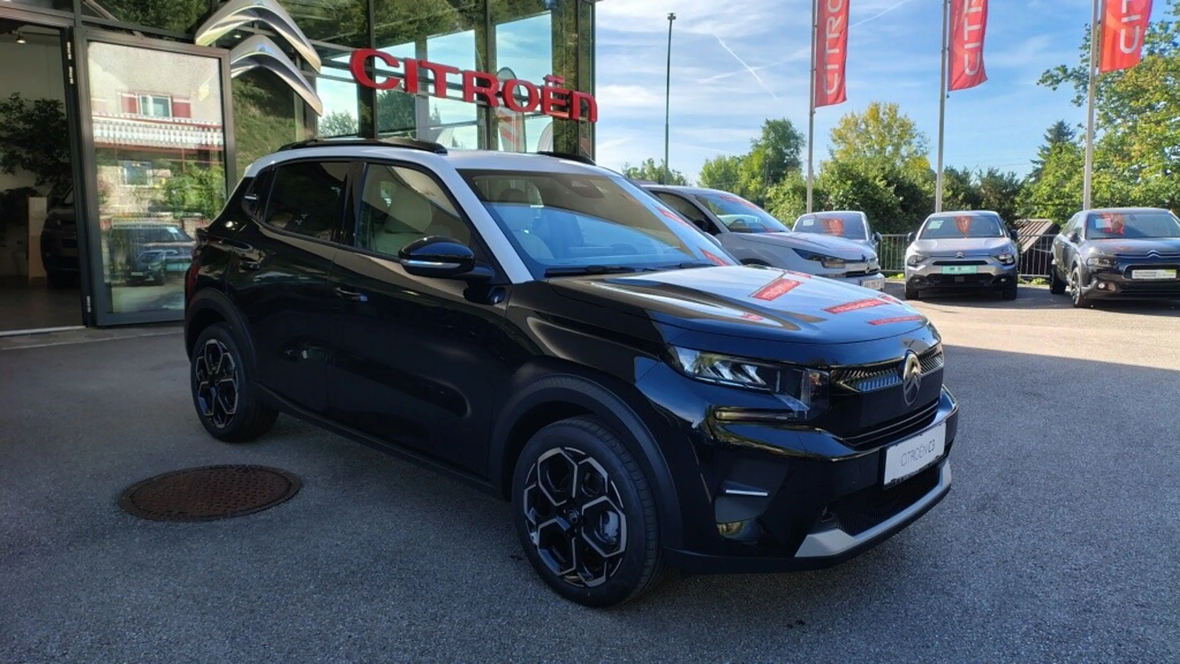 Citroen C3 e-C3 113 Standard Range 44kWh Max — photo 3