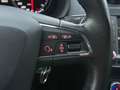 SEAT Ibiza 1.0 TSI Style Pano Alcantara CarPlay Bleu - thumbnail 16