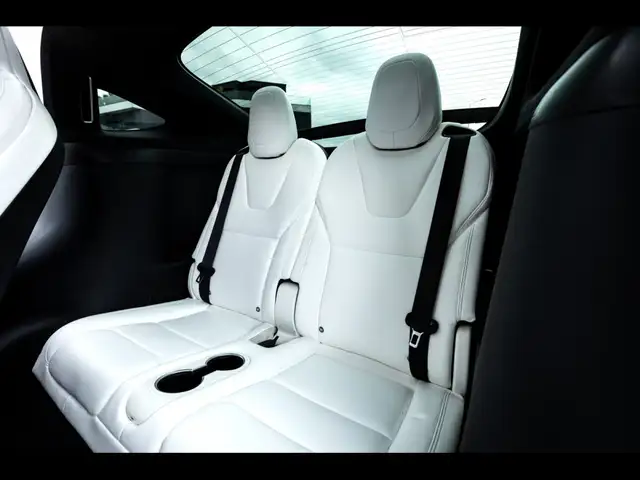 Tesla Model X view 13
