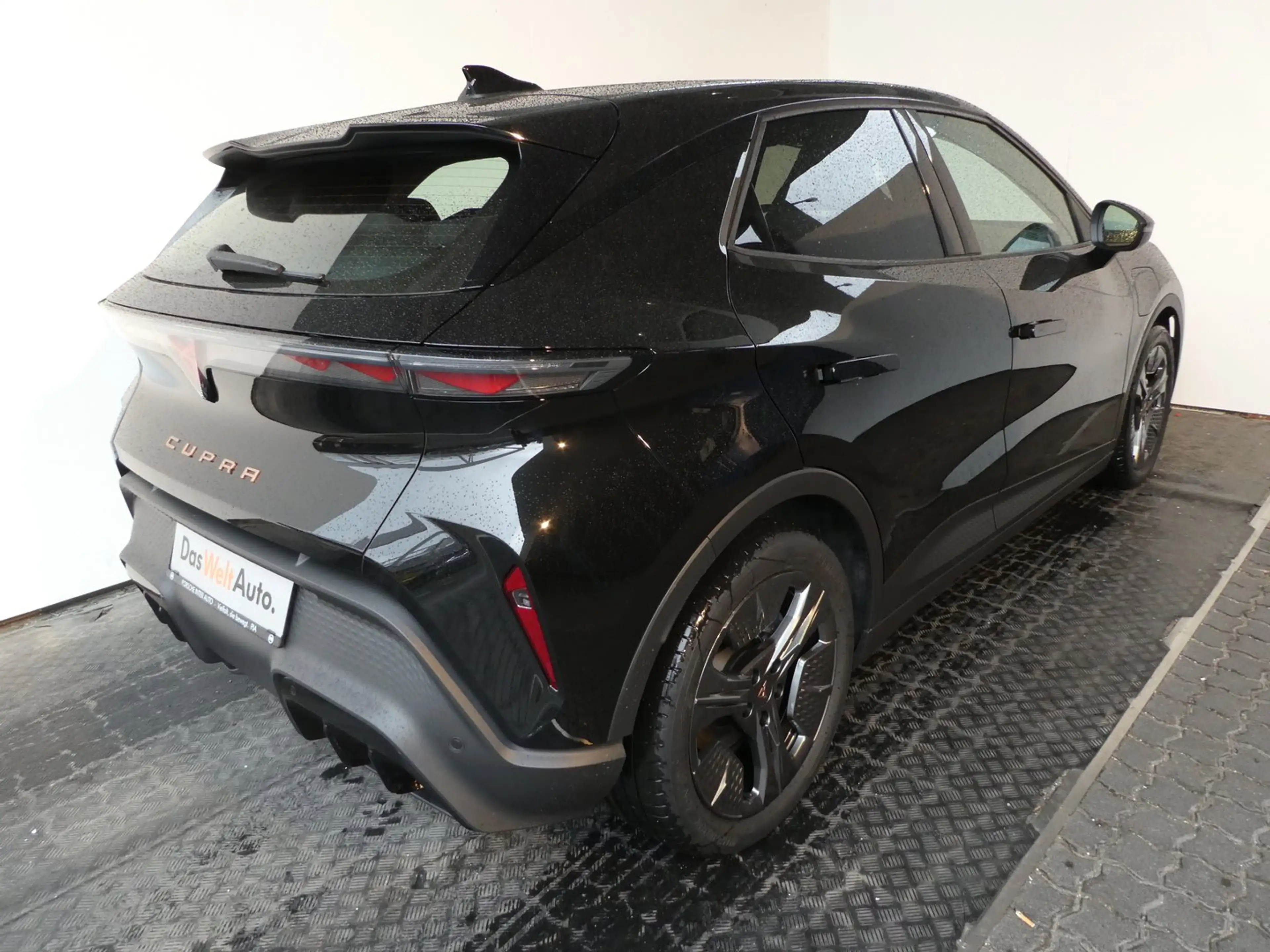 CUPRA Raval ENDURANCE 52/55 155kW/210 PS — photo 15