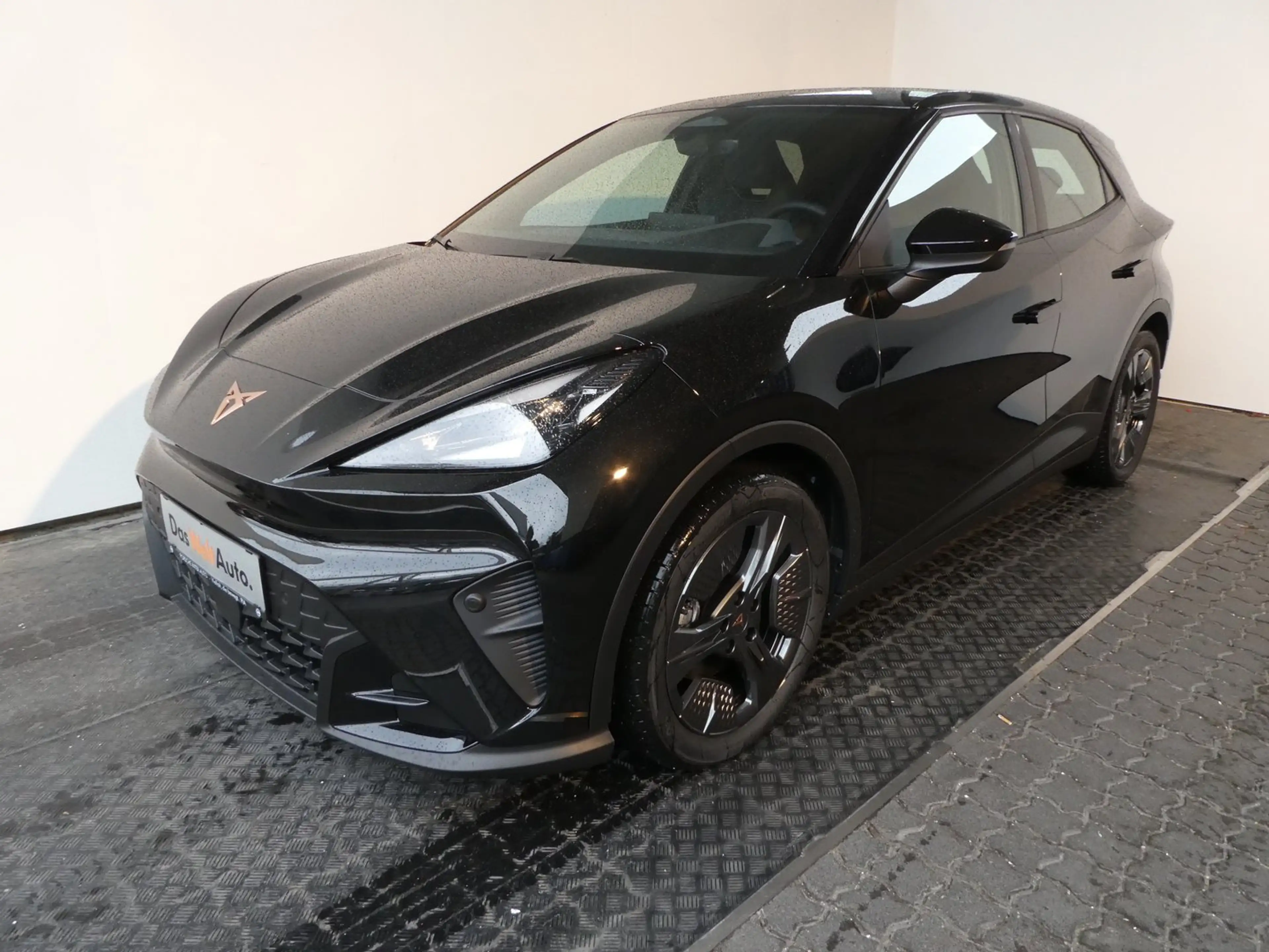 CUPRA Raval ENDURANCE 52/55 155kW/210 PS — photo 3