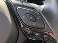 Toyota C-HR 2.0h More Business e-cvt Gris - thumbnail 25