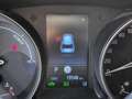 Toyota C-HR 2.0h More Business e-cvt Grigio - thumbnail 9