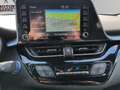Toyota C-HR 2.0h More Business e-cvt Grigio - thumbnail 12