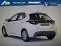 Mazda 2 Hybrid 116PS Pure*ACC*Klima*DAB*CARPLAY*Spurhaltea Weiß - thumbnail 3