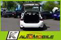 BMW 320 d xDrive LED+Navi+DAB+HiFi+SHZ+PDC+Kamera+ACC Blanc - thumbnail 5