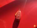 Ford Focus 1.0 Ecoboost ST Line Aut. 125 Rojo - thumbnail 21