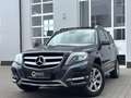 Mercedes-Benz GLK 250 CDI BlueTec 4Matic OFFROUD *KAME*AHK* Gri - thumbnail 12