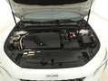 Peugeot 508 SW GT EAT8 2.0 Diesel 177CV Bianco - thumbnail 13